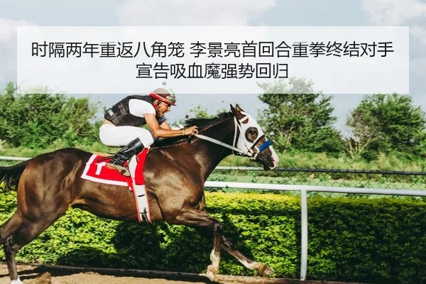 时隔两年重返八角笼 李景亮首回合重拳终结对手 宣告吸血魔强势回归